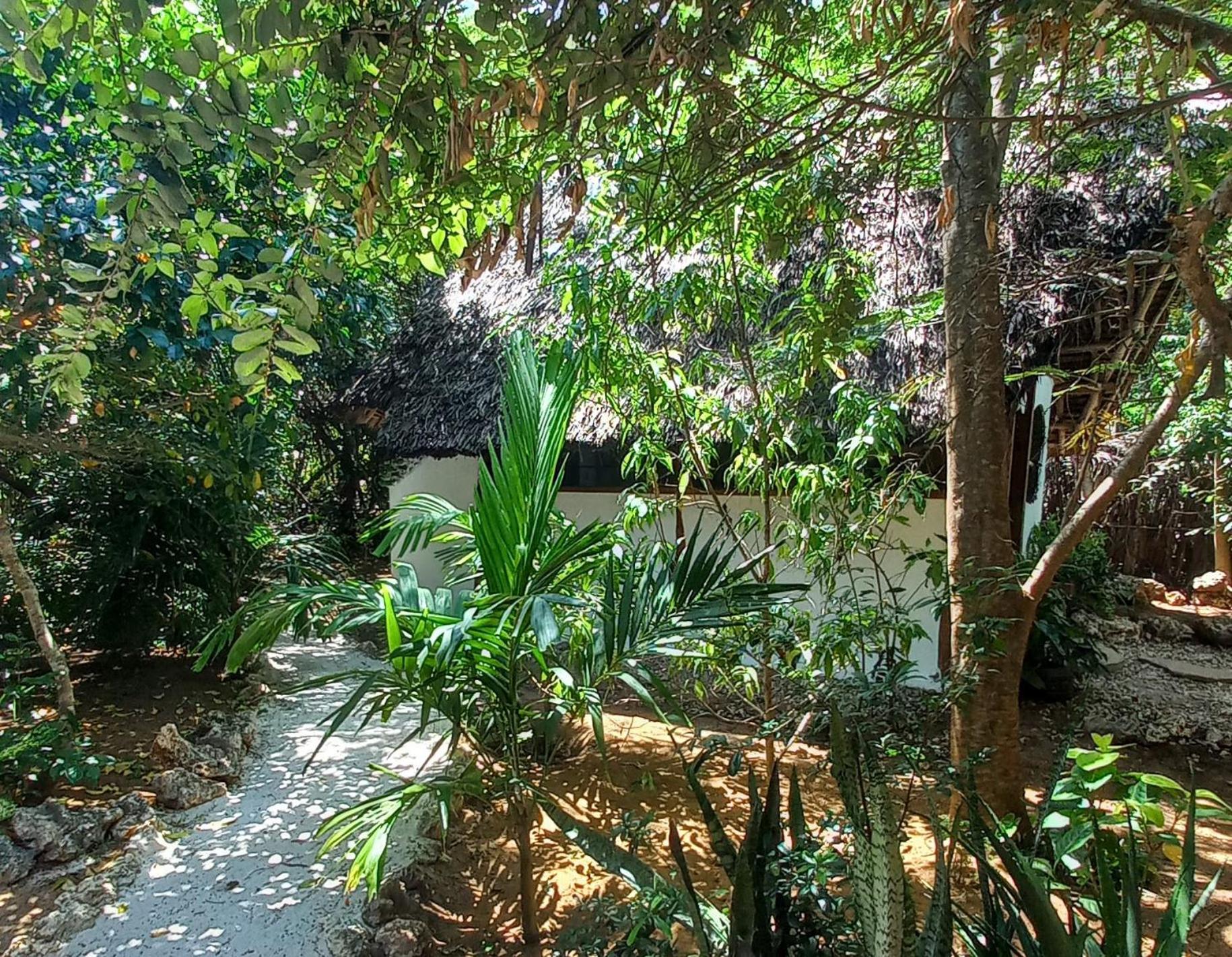 Watamu Beach Cottages B&B 객실 사진